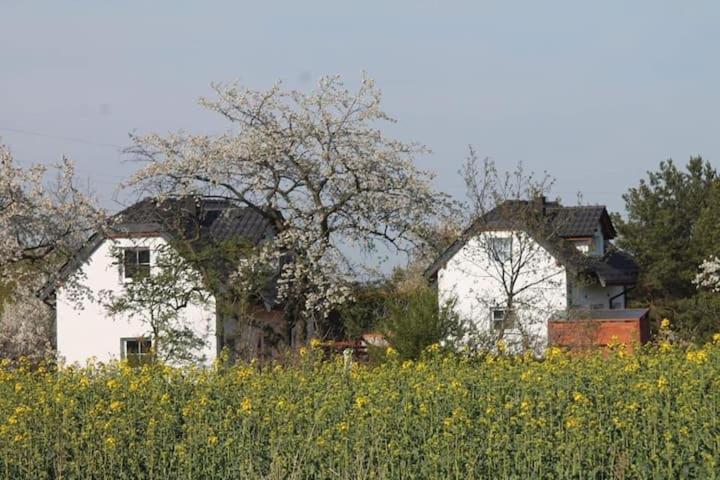 Domek W Bialej - Mak Marcinowice Esterno foto